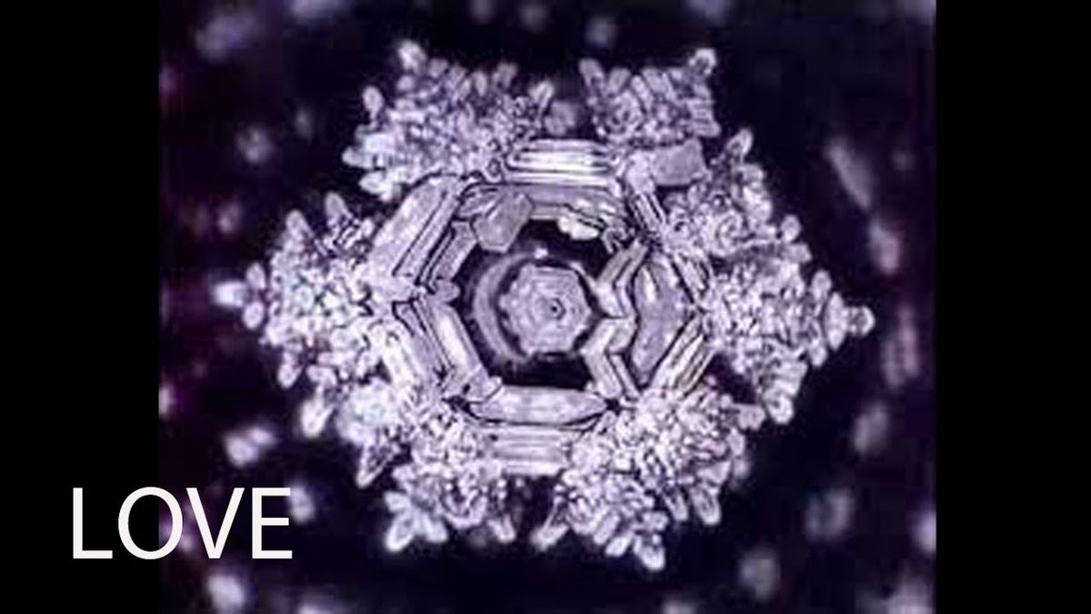 Dr. Masaru Emoto and Water Consciousness - Hidden Messages in Water